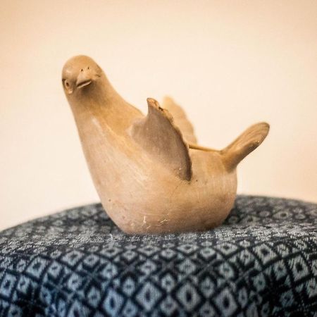 Hostel El Nagual San Cristóbal de Las Casas エクステリア 写真