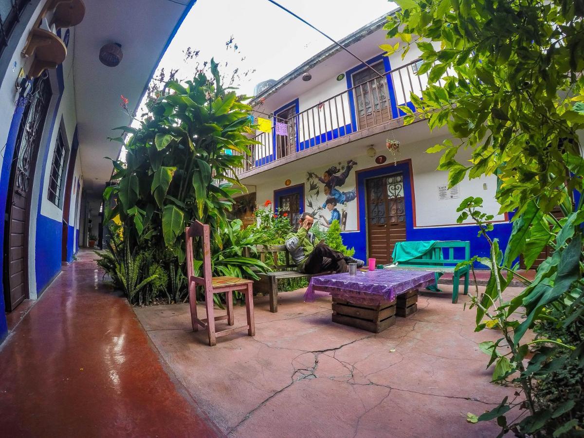 Hostel El Nagual San Cristóbal de Las Casas エクステリア 写真