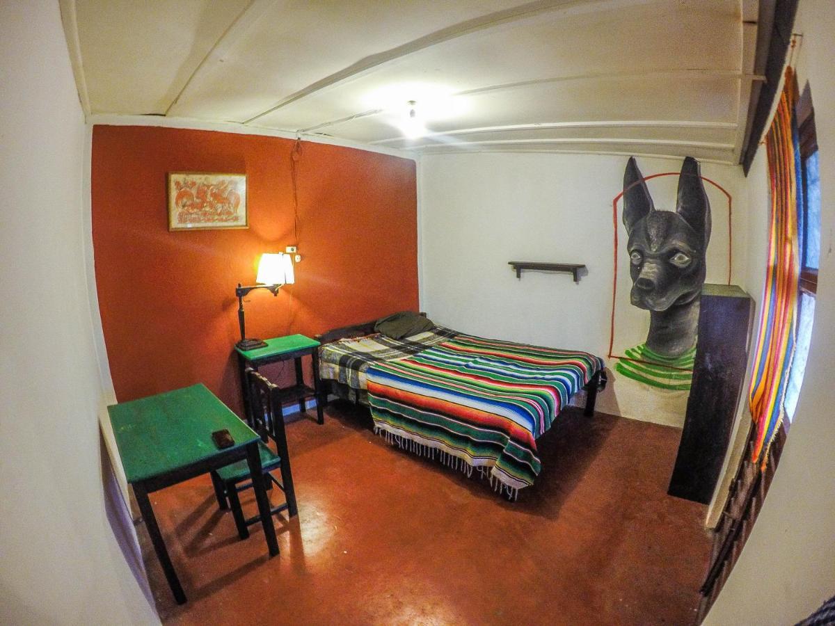 Hostel El Nagual San Cristóbal de Las Casas エクステリア 写真