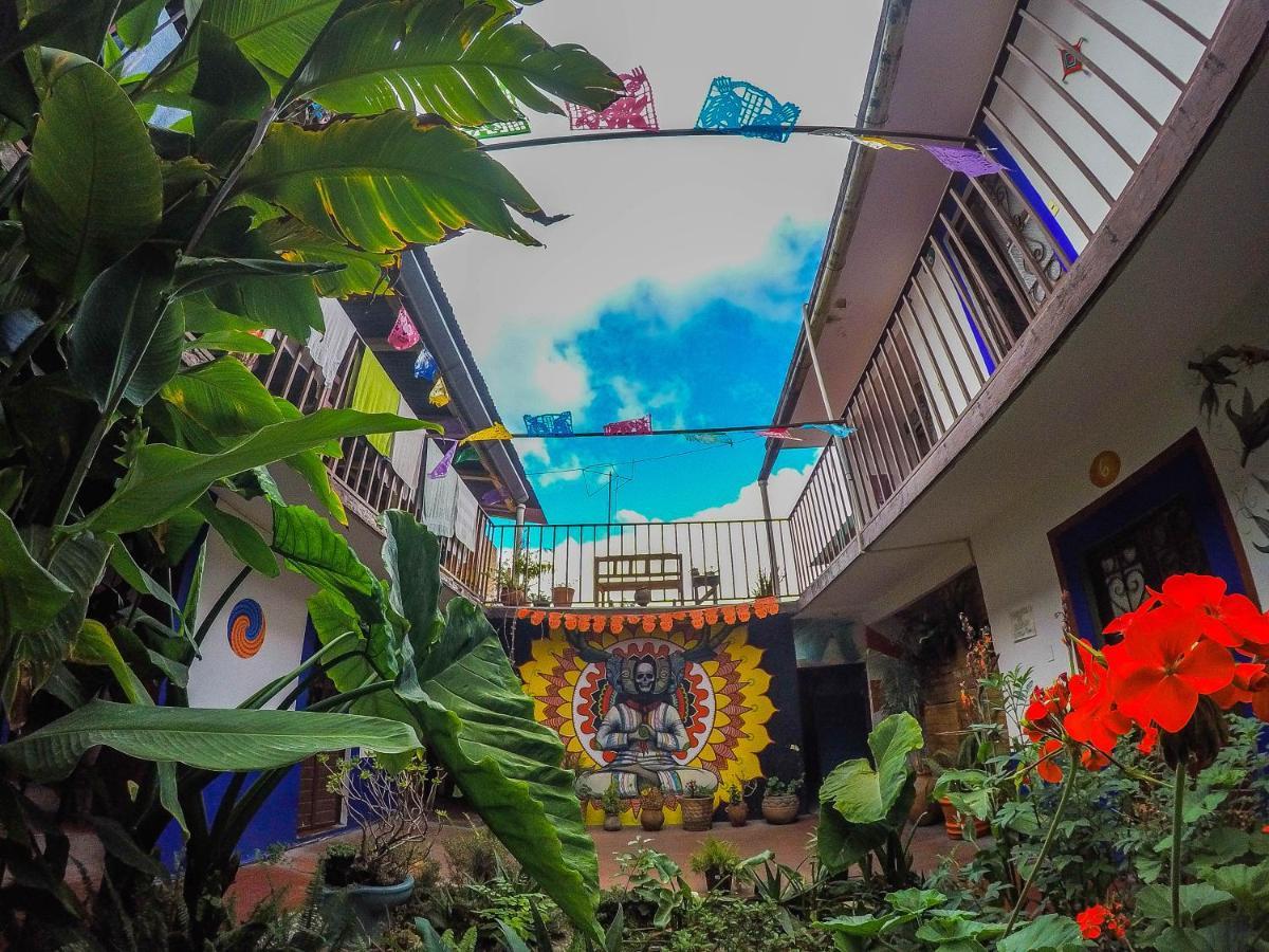 Hostel El Nagual San Cristóbal de Las Casas エクステリア 写真
