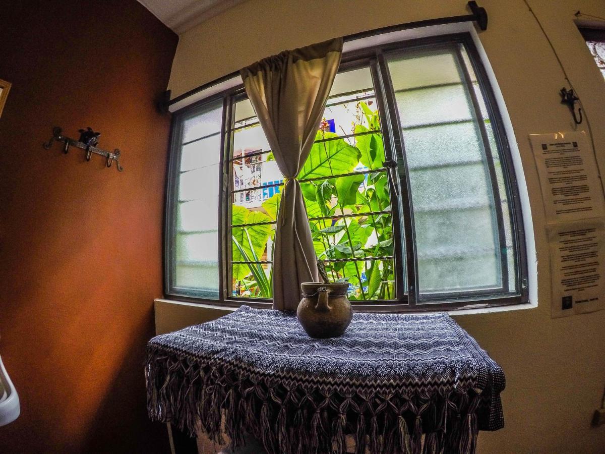Hostel El Nagual San Cristóbal de Las Casas エクステリア 写真