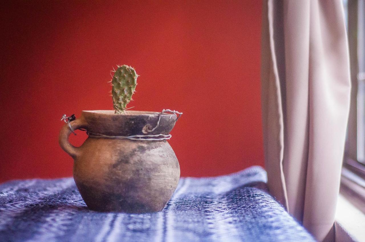 Hostel El Nagual San Cristóbal de Las Casas エクステリア 写真