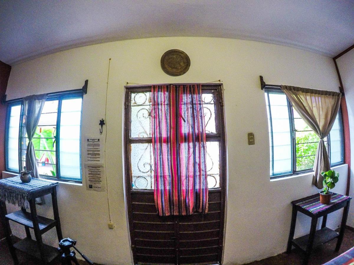 Hostel El Nagual San Cristóbal de Las Casas エクステリア 写真
