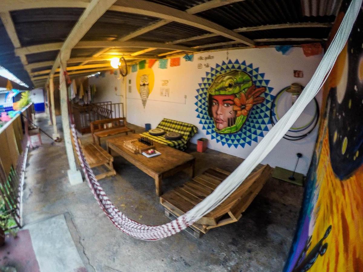 Hostel El Nagual San Cristóbal de Las Casas エクステリア 写真