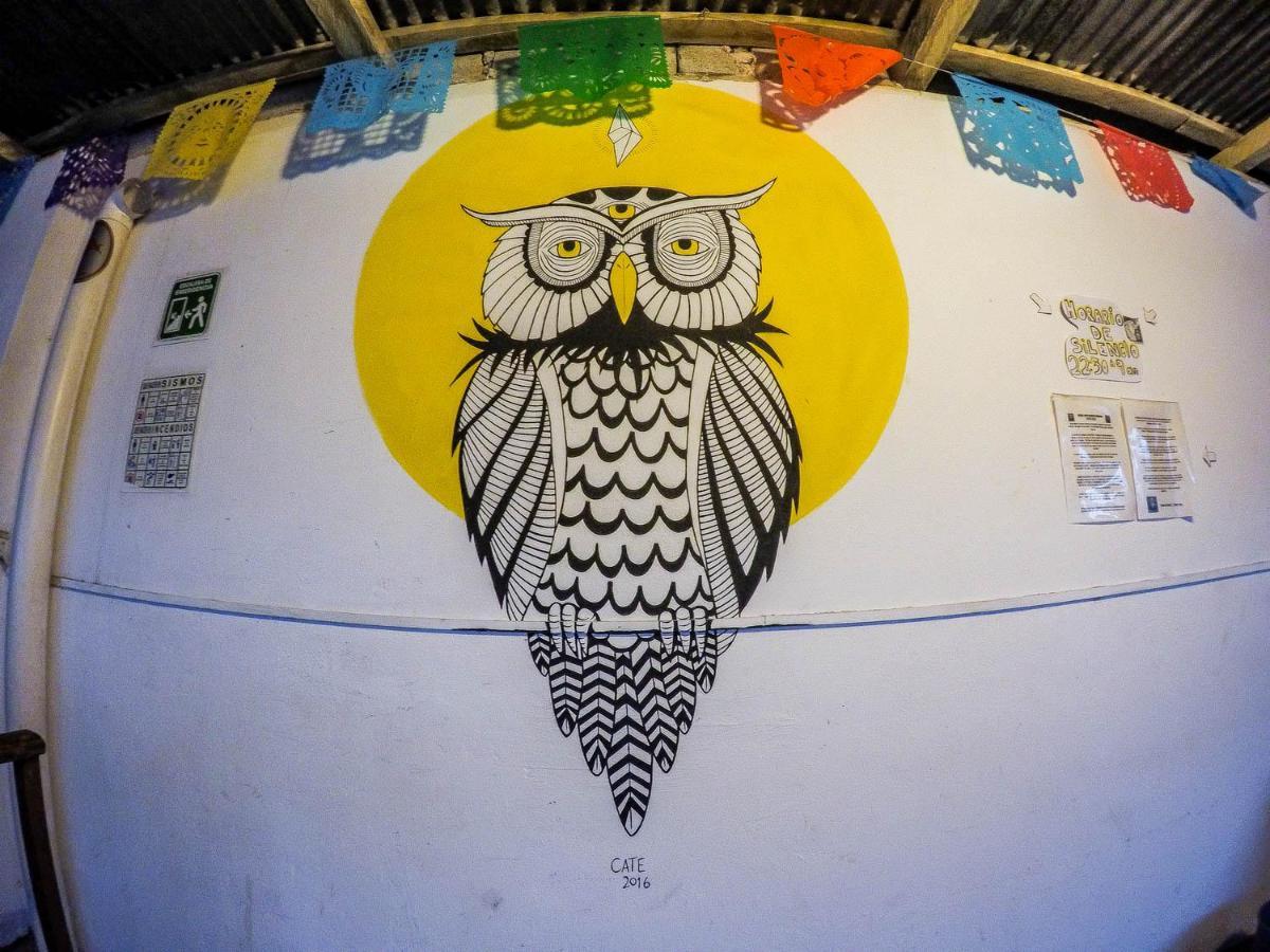 Hostel El Nagual San Cristóbal de Las Casas エクステリア 写真