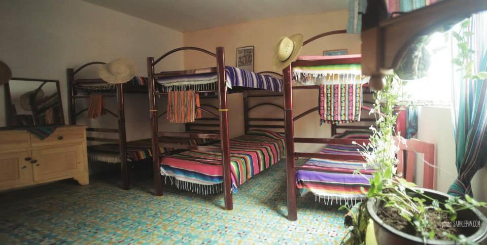 Hostel El Nagual San Cristóbal de Las Casas エクステリア 写真